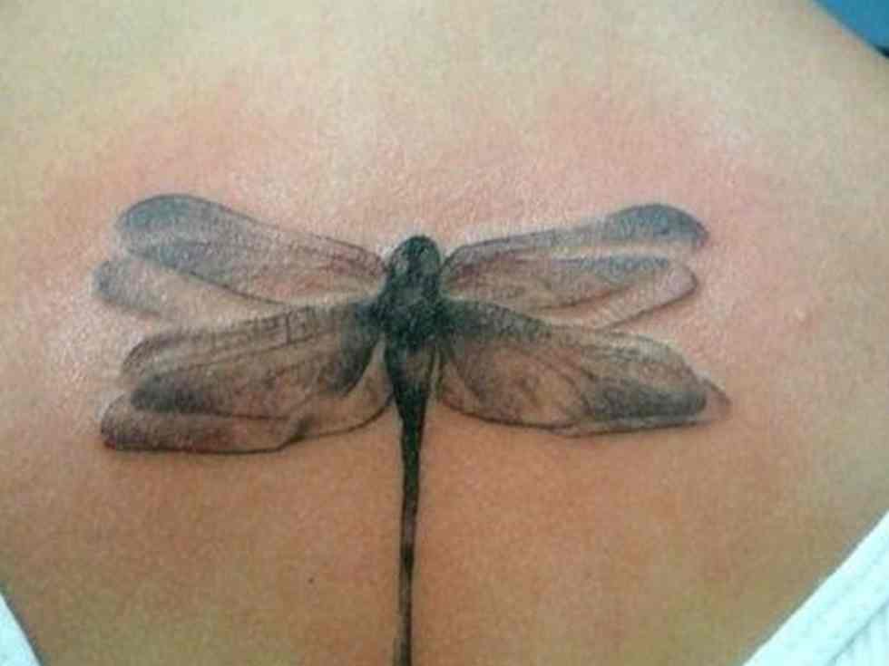 Fairly Dragonfly Tattoo Designs for Ladies